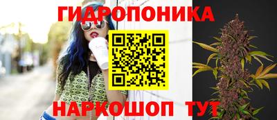 мдпв Апрелевка