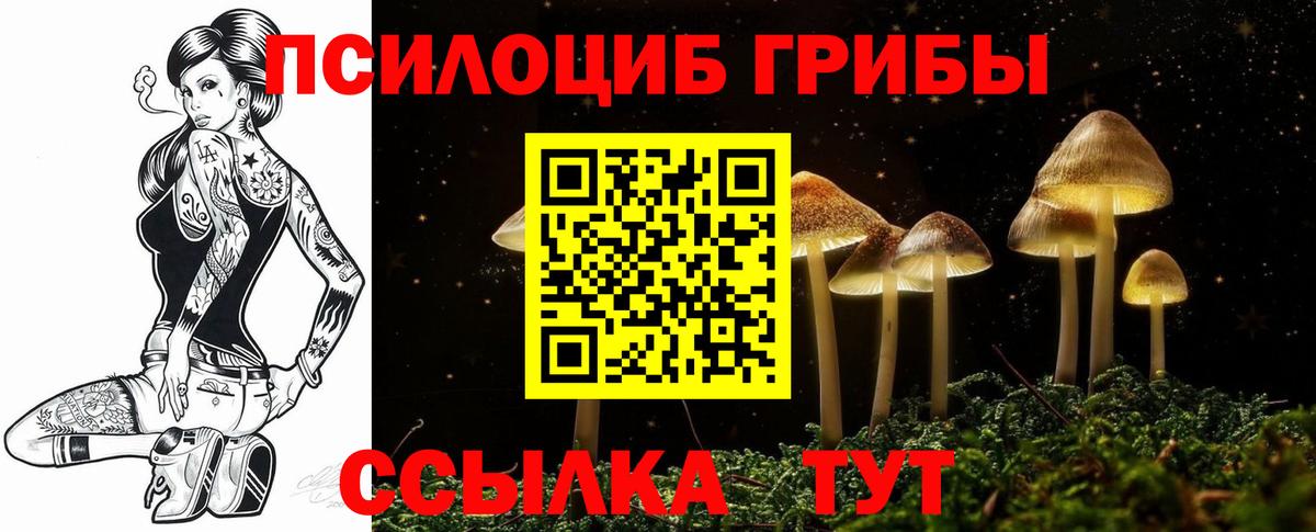 Псилоцибиновые грибы Cubensis  Чернушка 